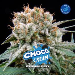 Choco Cream (x4)